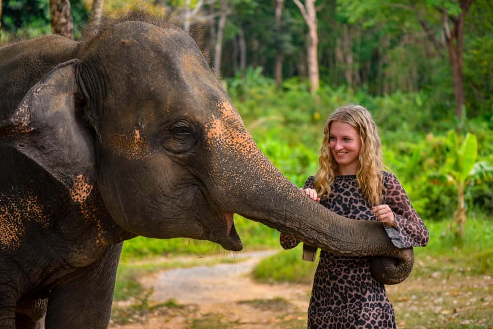 Phuket: Make & Meet The Gentle Giant Experience - Good To Know