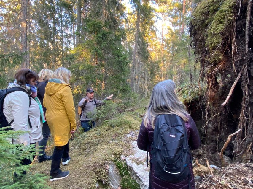 Wolf and Wildlife Tracking in Sweden - The Journey into Sweden’s Wilderness