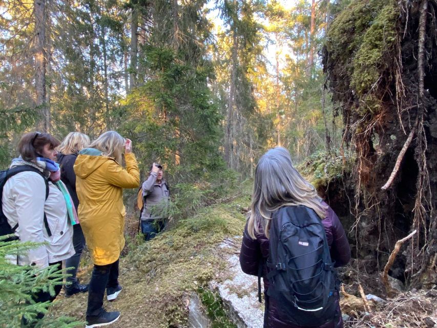 Wolf and Wildlife Tracking in Sweden - The Sum Up: The Value of an Authentic Wilderness Adventure