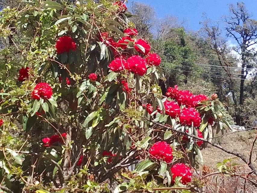 Kathmandu: 11-Day Annapurna Circuit Guided Trek via Tilicho - FAQ