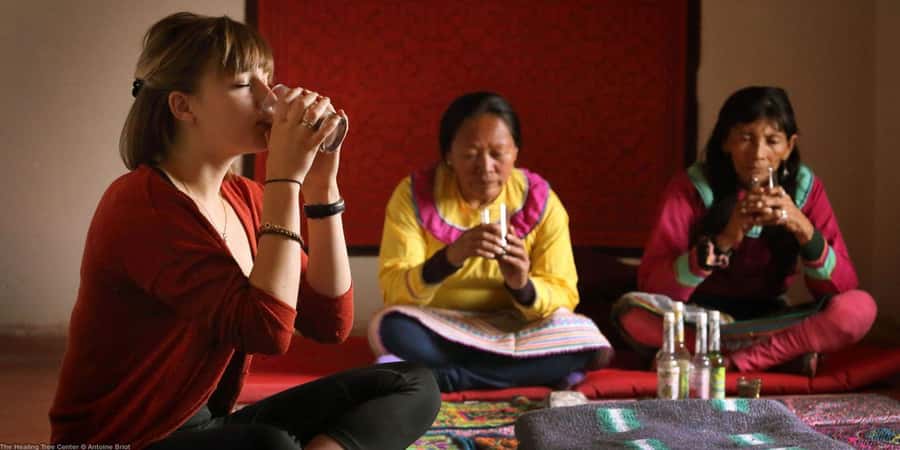 Cusco: San Pedro or Wachuma Spiritual Tour | Full Day - What’s Included and What’s Not