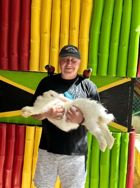 highlight tour bamboo Rafting, Doctor cave beaches - Exploring the Highlights: What This Tour Offers