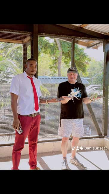 highlight tour bamboo Rafting, Doctor cave beaches - What To Expect: Practical Details and Tips