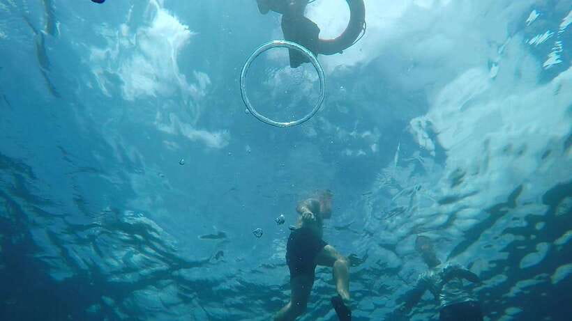 From Cebu City: Moalboal Pescador Snorkeling Tour + Lunch - Practical Tips for the Tour