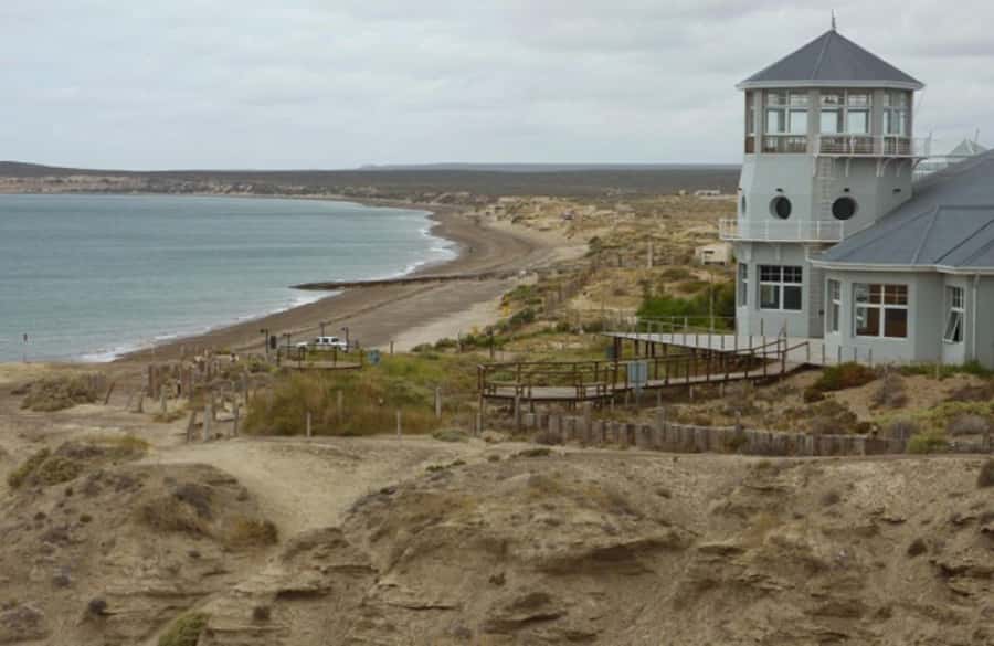 From Puerto Madryn: City and Punta Loma Tour - Discover the Charm of Puerto Madryn and Punta Loma: A Guided Tour