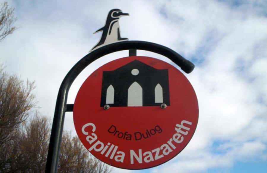 From Puerto Madryn: City and Punta Loma Tour - FAQ