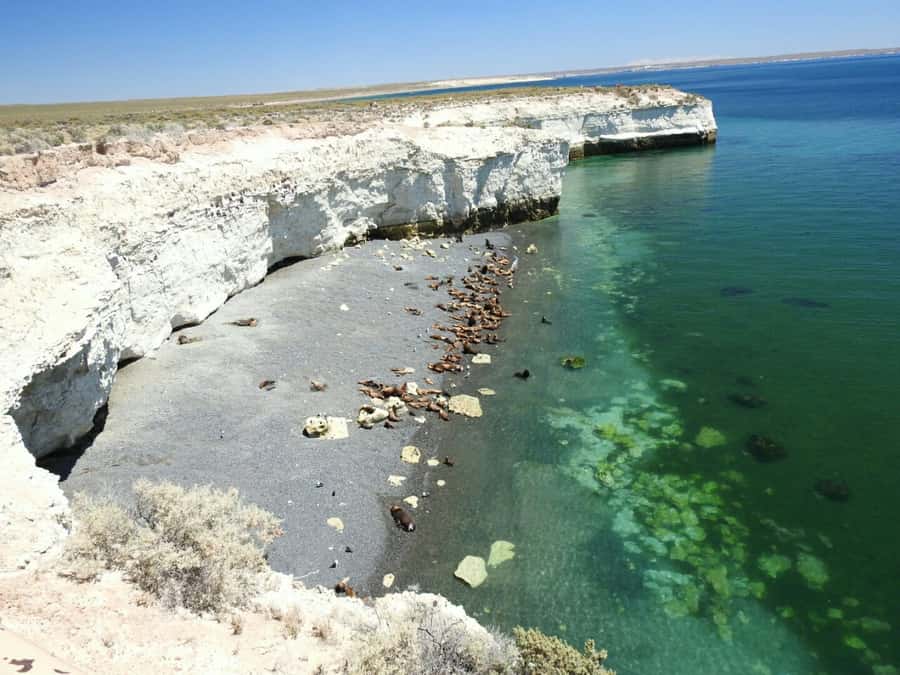 From Puerto Madryn: City and Punta Loma Tour - Who Will Love This Tour?