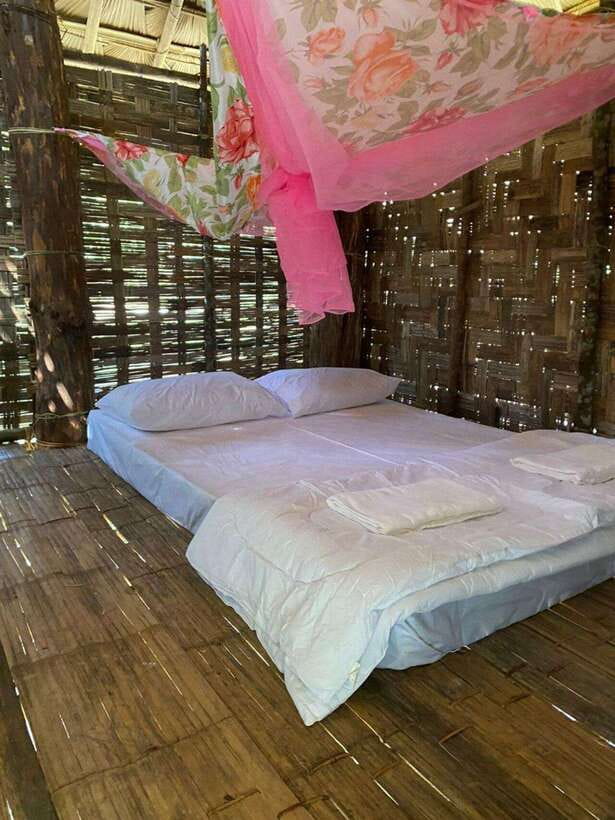 Elephant Home Sanctuary in Muang Thong Sayaboury Laos - The Value of This Experience