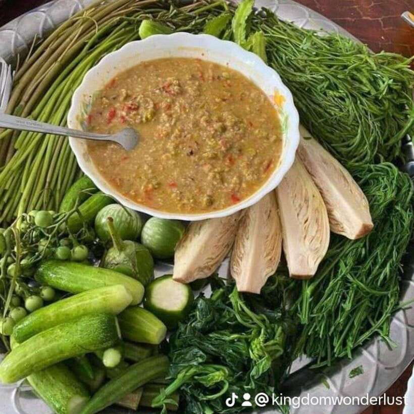 Elephant Home Sanctuary in Muang Thong Sayaboury Laos - The Sum Up