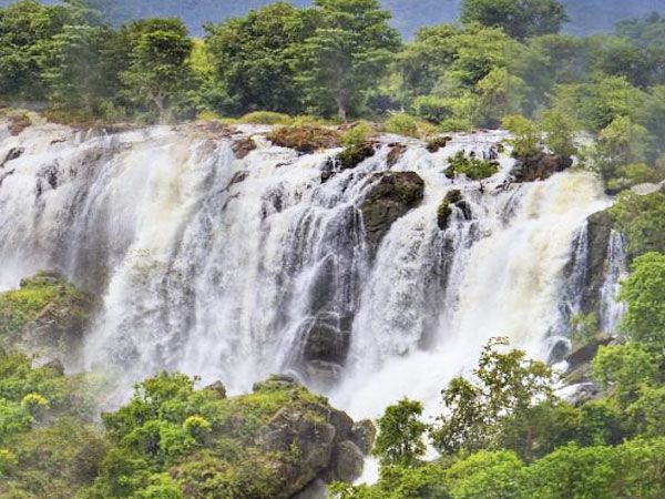 Shivanasamudra Waterfalls & Ancient Somnathpur Tour - Authentic Insights from Travelers