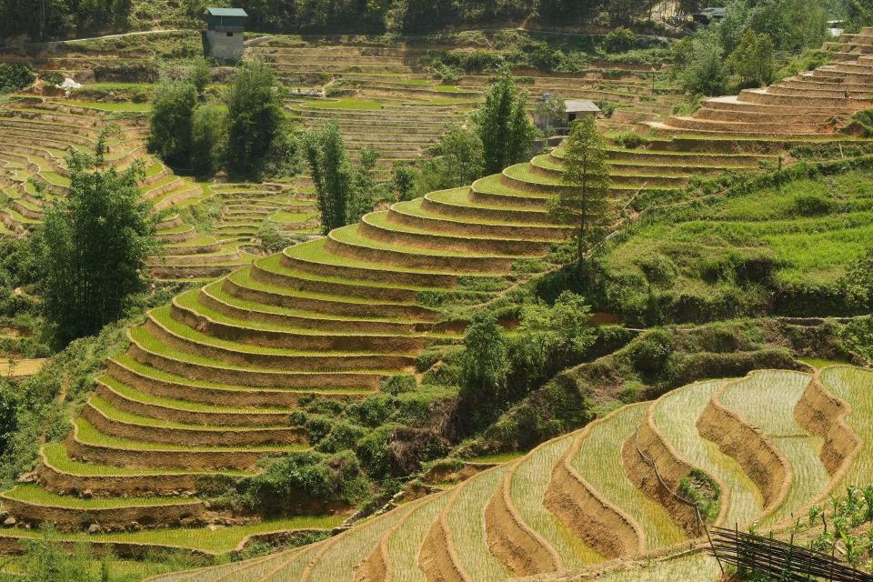 Sapa hard trekking villages and homestay 2 days 1 night trip - The Sum Up