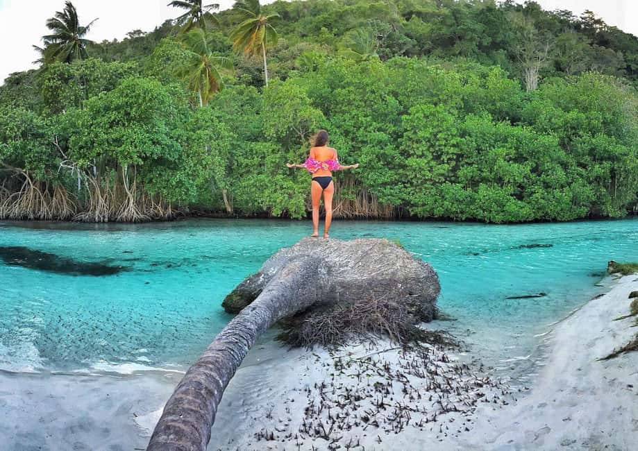 Samana from Punta Cana: Cayo Levantado & El Limon Waterfall - Final Thoughts