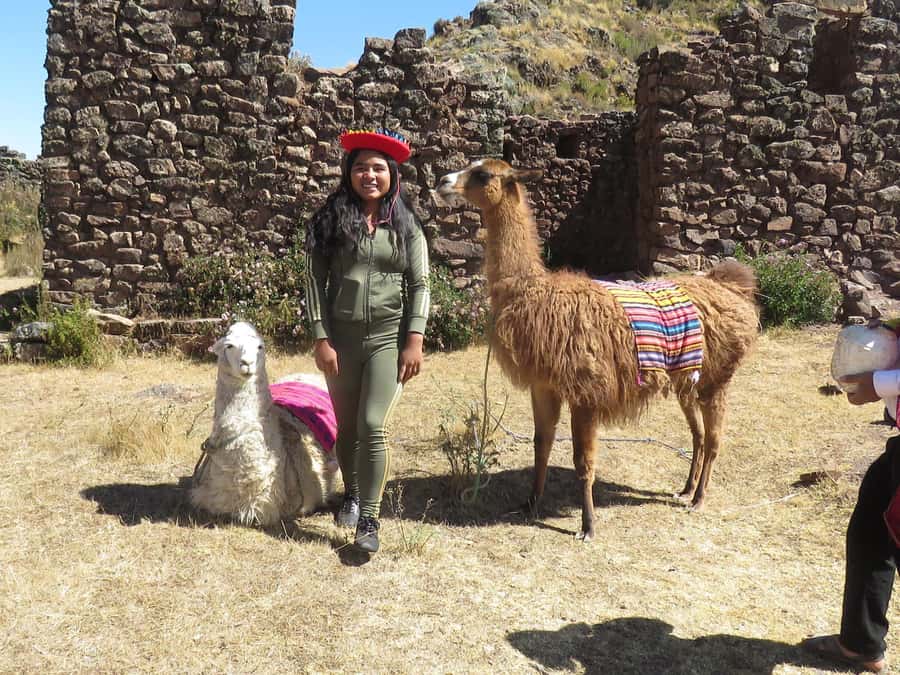 From Cusco: Llama Trekking - From Cusco: Llama Trekking – A Unique Cultural and Nature Experience