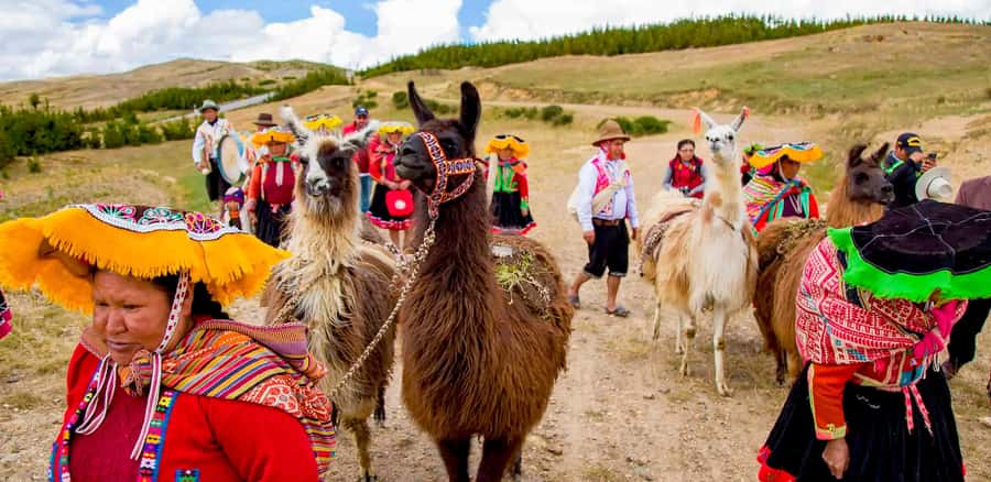 From Cusco: Llama Trekking - In-Depth Look at the Experience