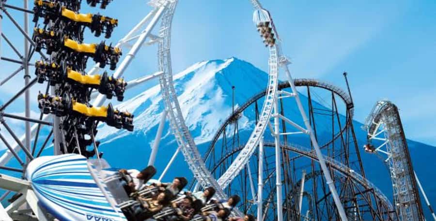 Fuji-Q Highland Amusement Park: 1 Day private tour by Car - Key Points