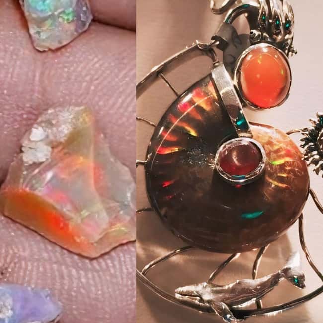 4-6HR ACAPULCO FUN DAY WITH DIVERS SHOW, LUNCH BEACH FRONT - The Bottom Line