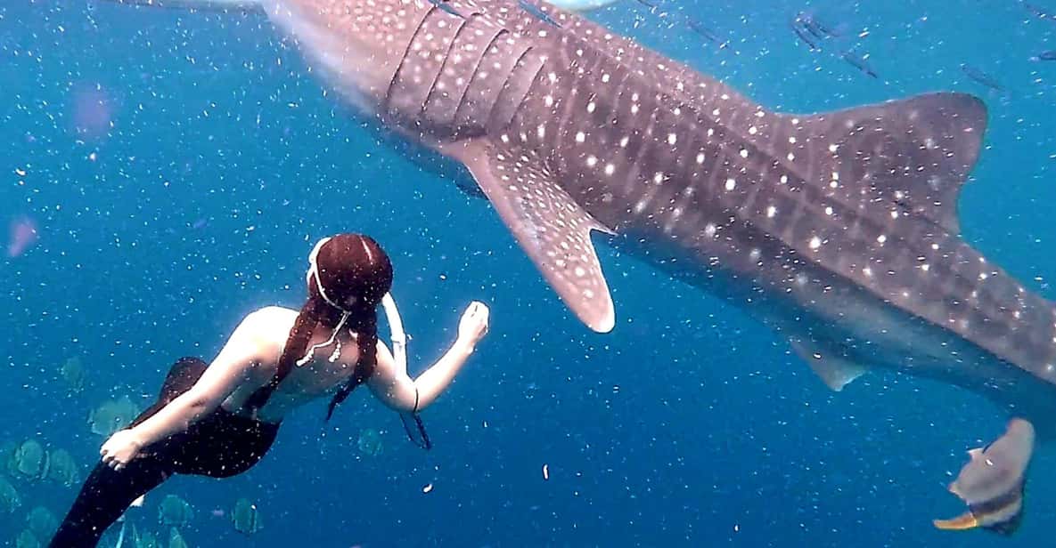 Cebu: Whale Shark Swim and Kawasan Canyoneering Tour - Final Thoughts