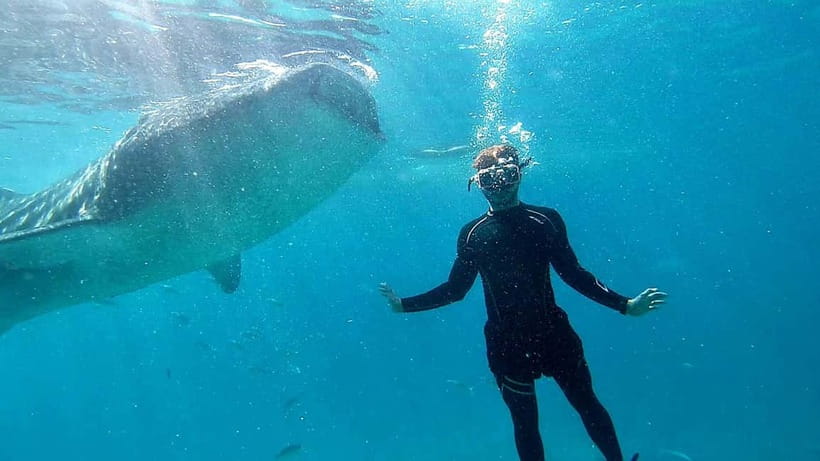 Cebu: Whale Shark Swim and Kawasan Canyoneering Tour - FAQ
