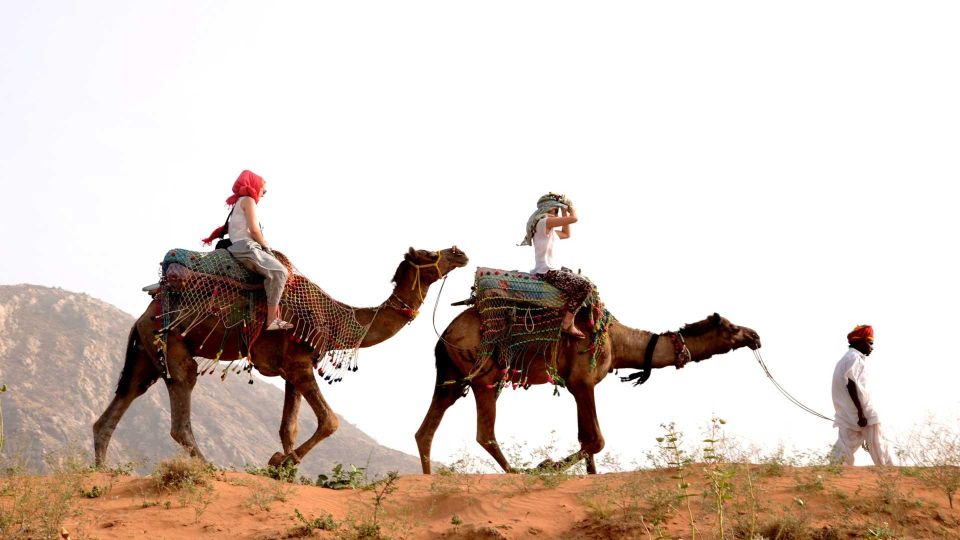 Pushkar Day Trip with Camel Safari From Jaipur By Car. - Final Thoughts: Is This Tour Right for You?