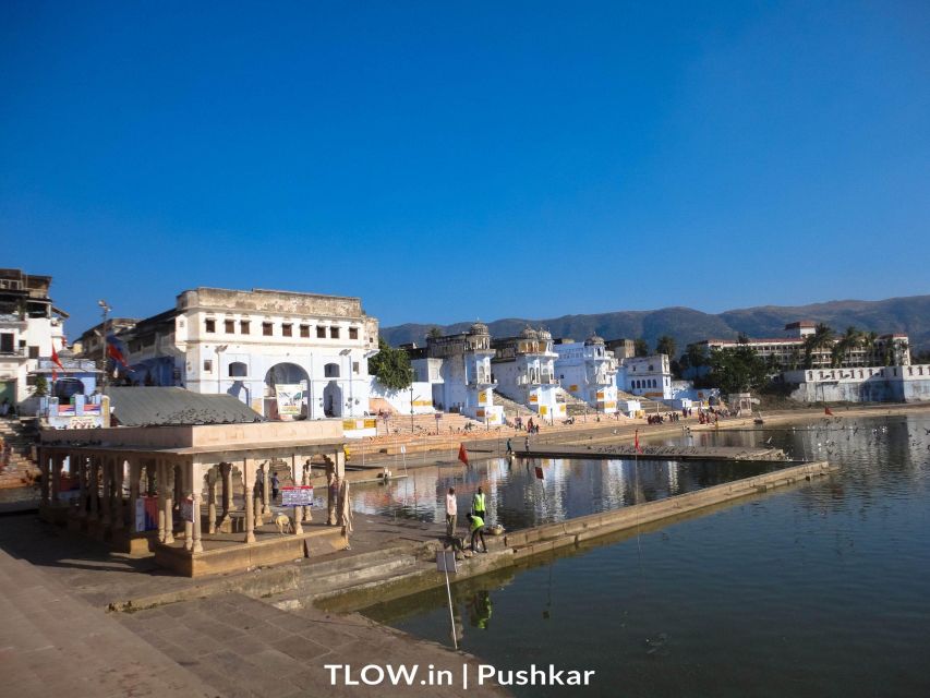 Pushkar Day Trip with Camel Safari From Jaipur By Car. - How to Gauge the Value of This Tour