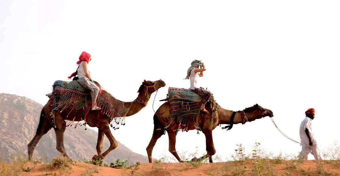 Pushkar Day Trip with Camel Safari From Jaipur By Car. - A Deep Dive Into the Pushkar Day Trip Experience