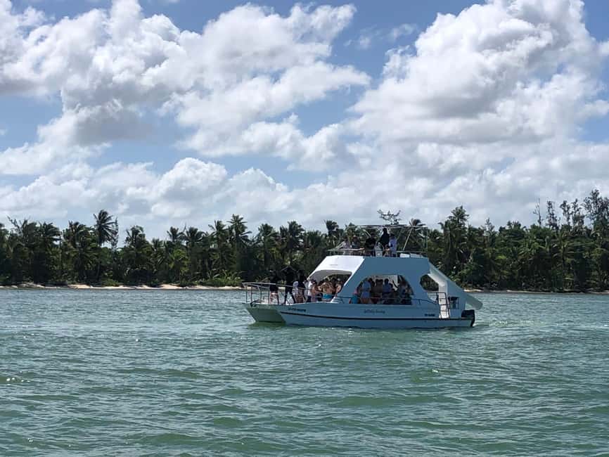 Small-Group Cruising and Snorkeling Catamaran Tour - A Comprehensive Look at the Small-Group Cruising and Snorkeling Catamaran Tour