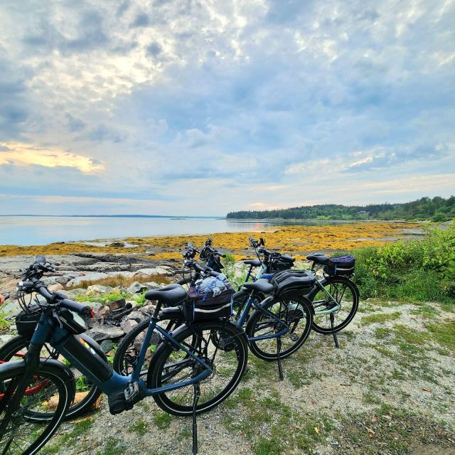 Bar Harbor: Acadia National Park Carriage Roads Ebike Tour - A Deep Dive into the Acadia Carriage Roads E-Bike Tour