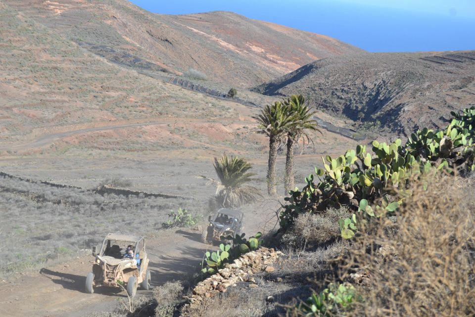 Lanzarote: Mix tour Guided Buggy Volcano Tour 4 seater - Safety and Practical Tips