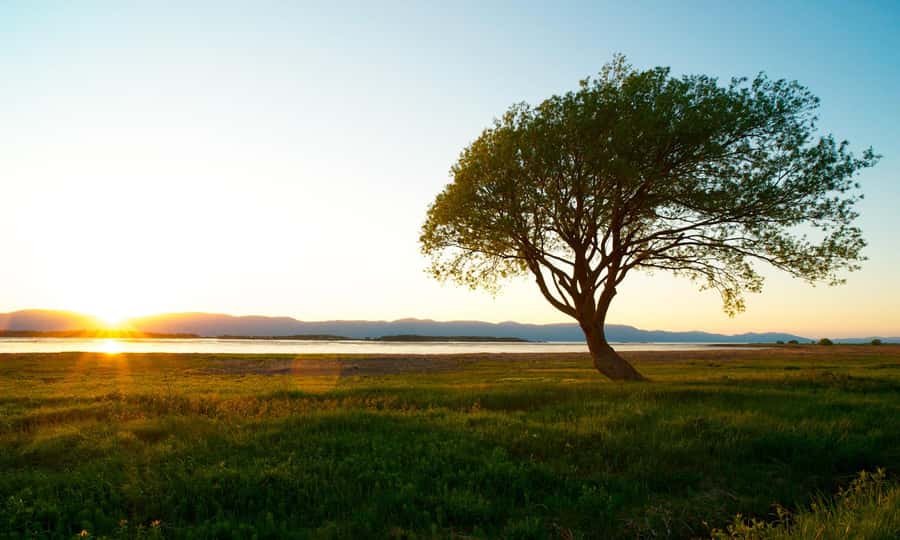 L'Isle-aux-Grues: Secret Islands of St. Lawrence Expedition - Exploring the Experience in Detail