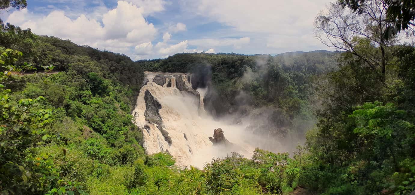 Cairns: Waterfall, Wetlands and Skyrail - A Closer Look at the Cairns: Waterfall, Wetlands and Skyrail Tour