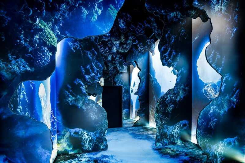 Toronto: Arcadia Earth, Immersive Experience Anytime Ticket - Who Should Visit?