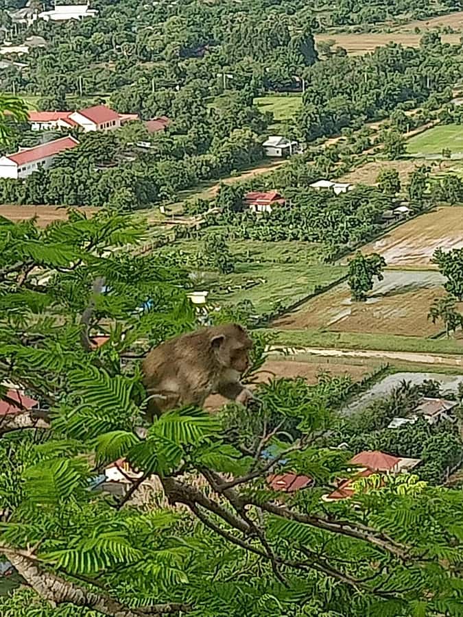 Battambang Full Day Tour from Siem Reap - The Sum Up