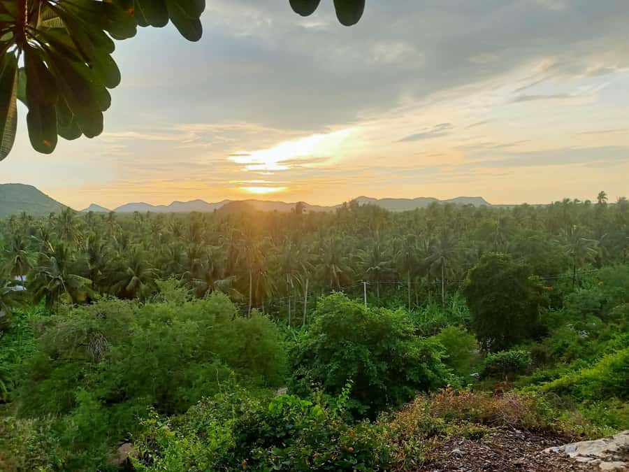 Battambang Full Day Tour from Siem Reap - Who Will Enjoy This Tour?
