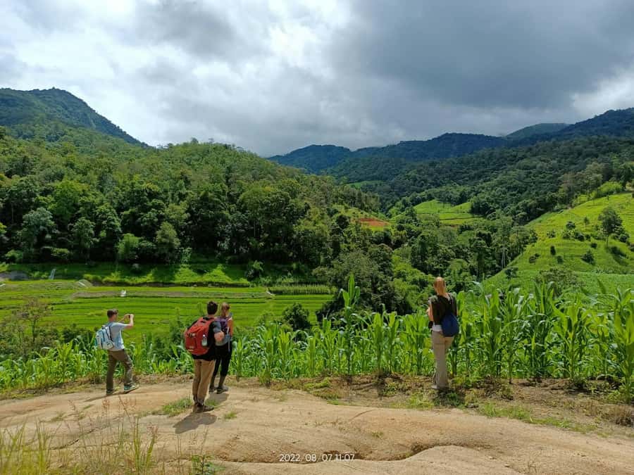 Trekking 2 Days 1 Night with Elephant Care + Bamboo Rafting - The Sum Up: Who Should Consider This Tour?