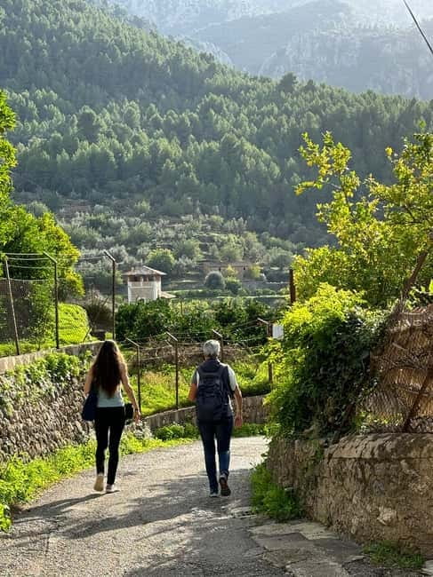 From Palma: Sierra de Tramuntana Hiking with small Picnic - A Deep Dive into the Sierra de Tramuntana Hiking Tour