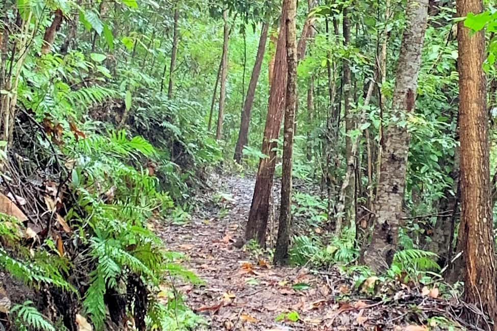 Cairns: Explore Dunk Island Day Tour - Final Thoughts