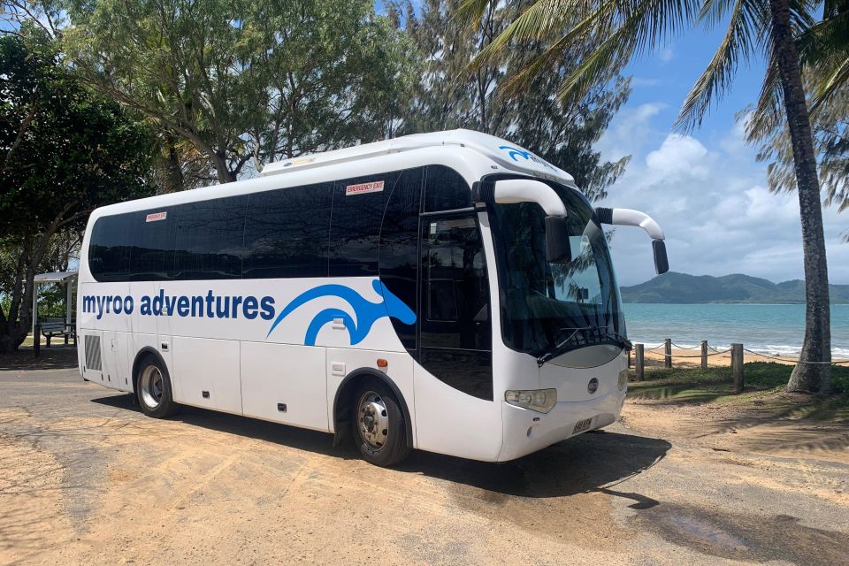 Cairns: Explore Dunk Island Day Tour - Key Points