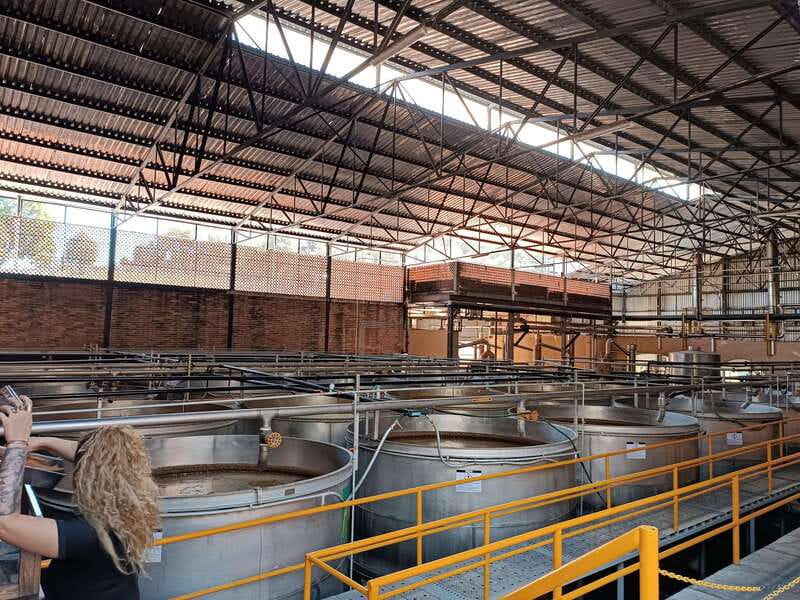 Five-star factory: Meet Orendain tequila. - The Real Experience: Pros and Cons