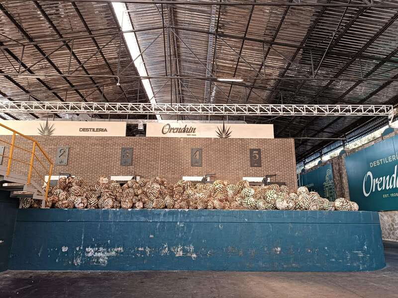 Five-star factory: Meet Orendain tequila. - What to Expect: Details and Highlights