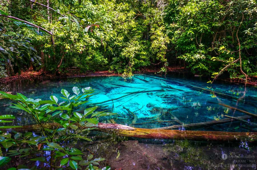 Krabi Tiger cave , emerald pool, hosspring waterfall jungle - FAQ