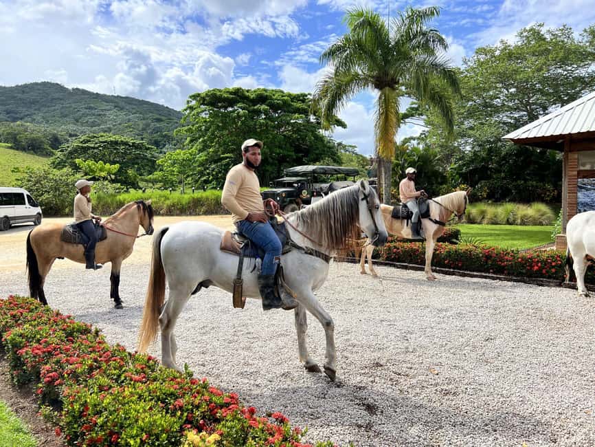 Punta Cana: Buggy and Zipline Adventure at La Hacienda - A Deep Dive into the Experience