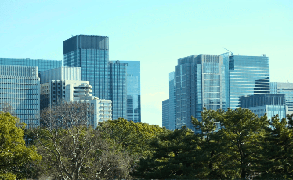 Tokyo: Imperial Palace Japanese History Walking Tour - Who Will Love This Tour?
