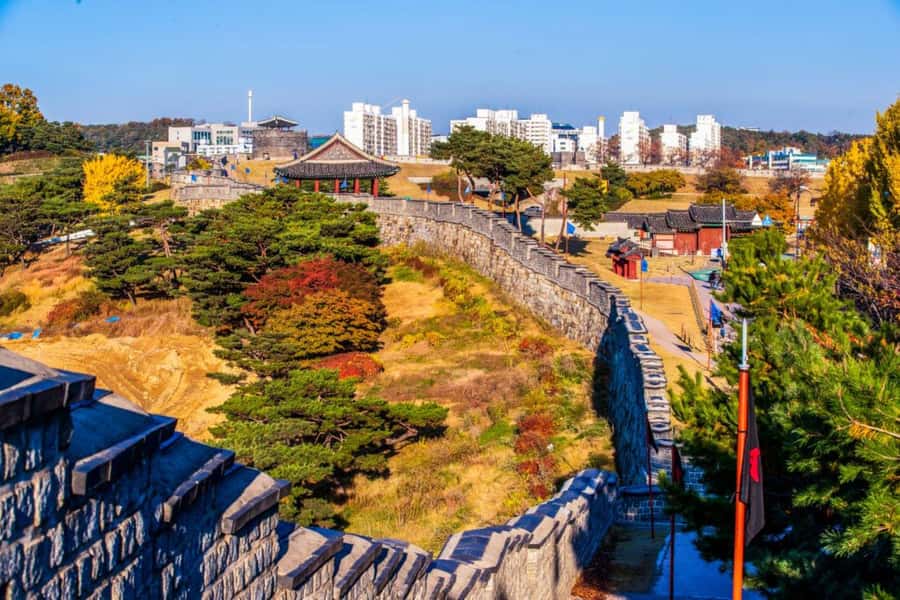 Seoul Day Tour: Suwon Hwaseong Fortress & Cherry Blossoms - FAQs