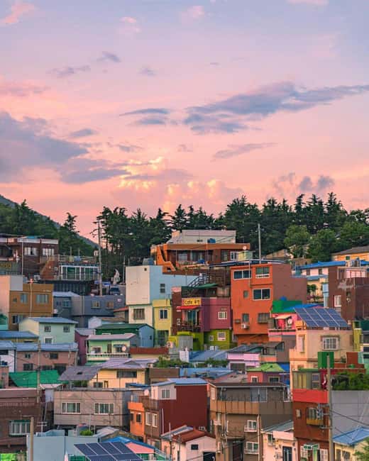 From Busan: Busan & Gyeongju One Day Tour - The Final Touch—Busan’s Coastal Charm