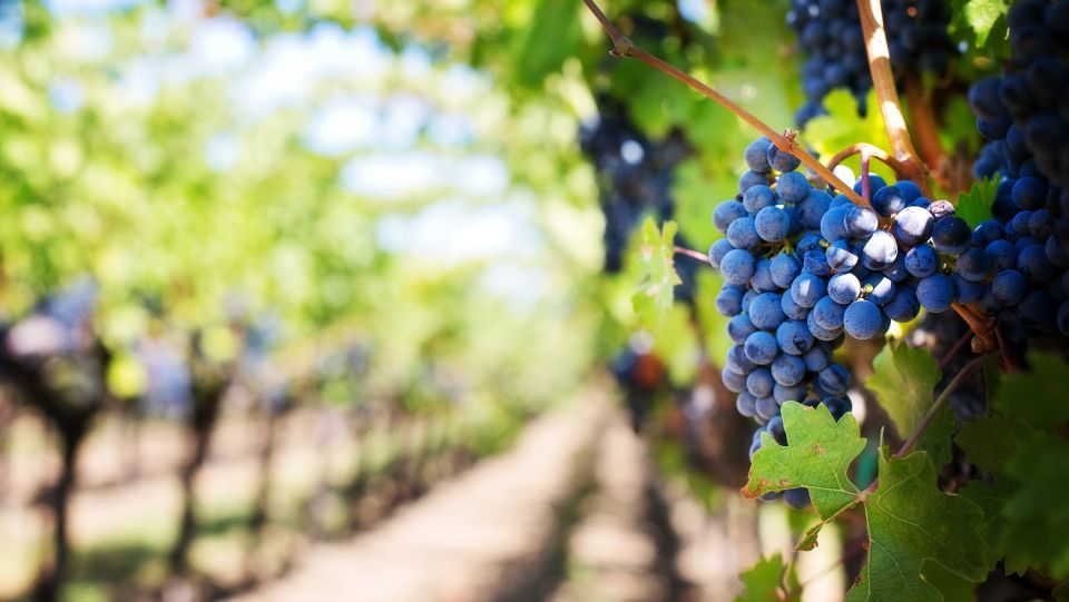 Day trip to Moldova - visit Chisinau and Cricova Winery - A Complete Breakdown of the Experience