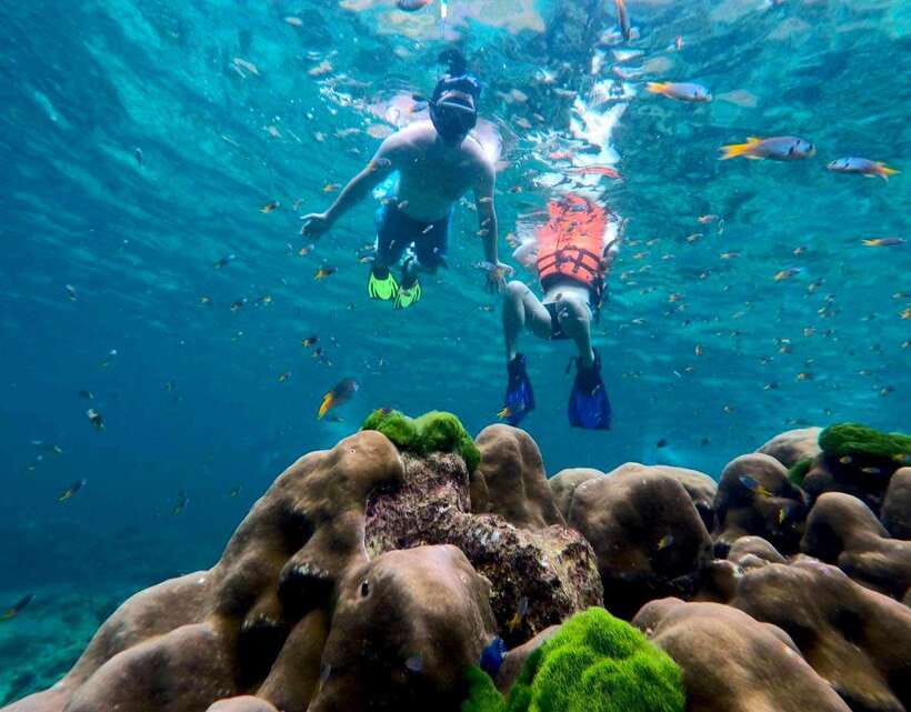 Koh Lanta: 4 Islands, Emerald Cave & Koh Kradan by Speedboat - Key Points