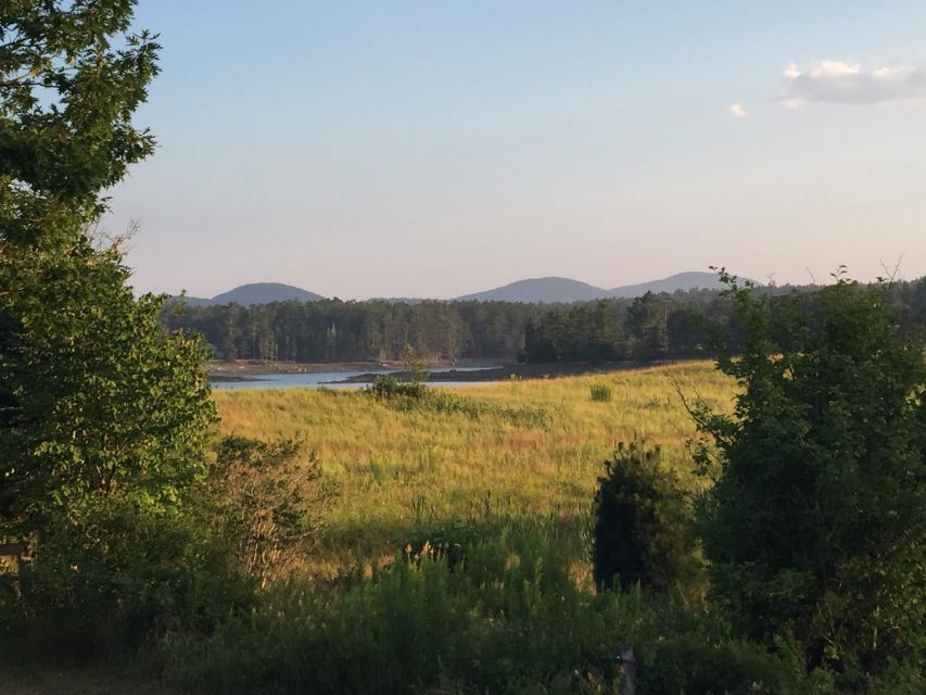 Bar Harbor: Acadia National Park Private Tour with Lunch - Final Thoughts  