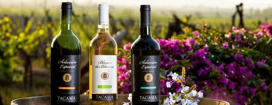 Ica: Pisco Route | Tacama, Arrabal, Bodega Lovera | - A Deep Dive into the Ica Pisco Route Tour