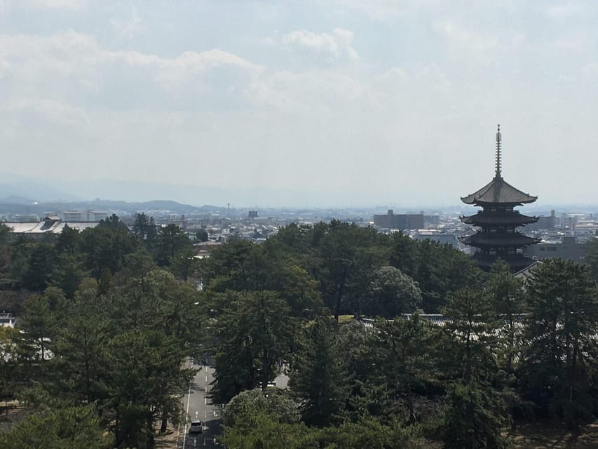 Nara: Half-Day Private Guided Tour - Good To Know