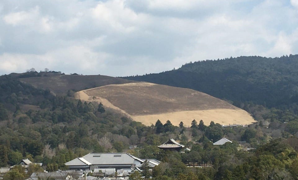 Nara: Half-Day Private Guided Tour - Exploring Nara’s Ancient Heart in a Short Time
